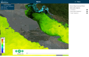 Rheticus® Marine Interface