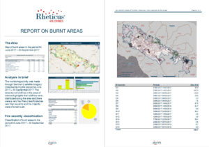 Rheticus Wildfires Report